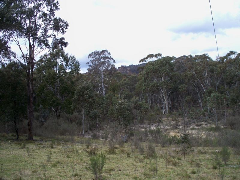 886 Wolgan Road, Lidsdale NSW 2790