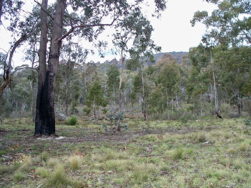 886 Wolgan Road, Lidsdale NSW 2790