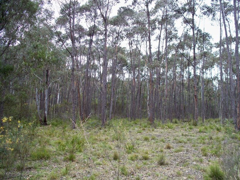 886 Wolgan Road, Lidsdale NSW 2790