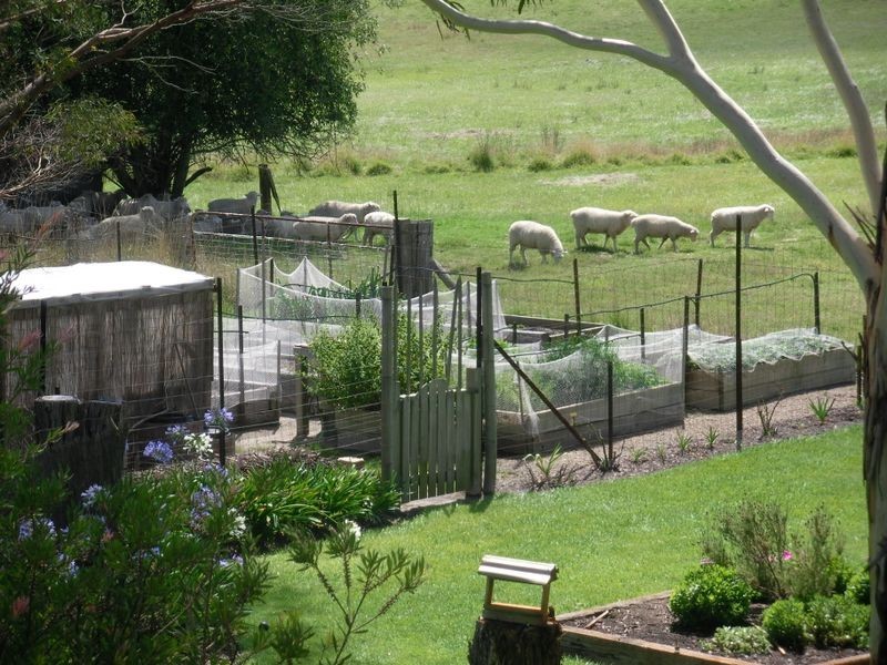 8 Thompson Street, Portland NSW 2847