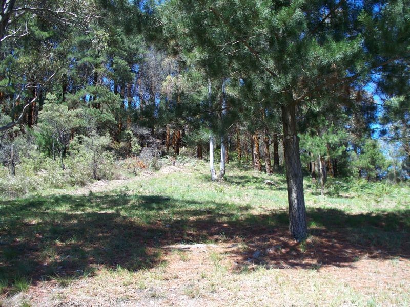 51 Mort Street, Lithgow NSW 2790