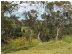 Lot 22 Creek Street, Portland NSW 2847