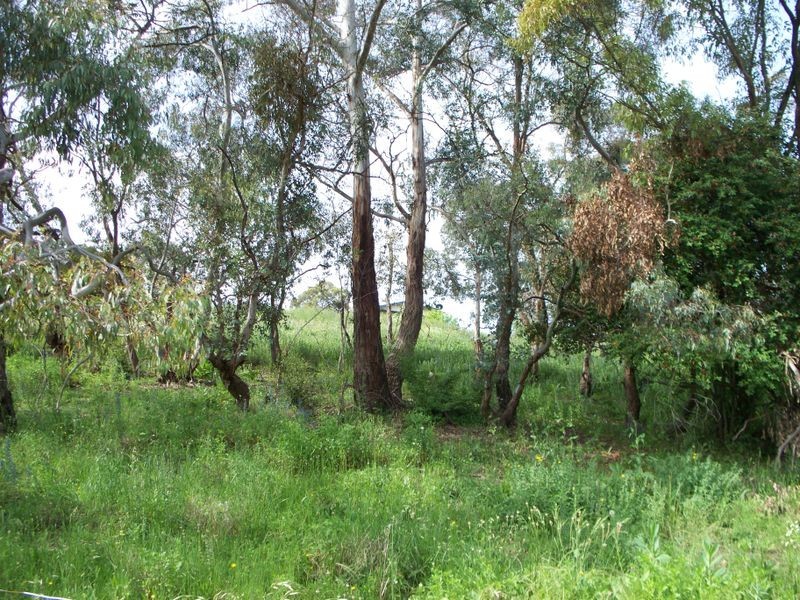 Lot 22 Creek Street, Portland NSW 2847