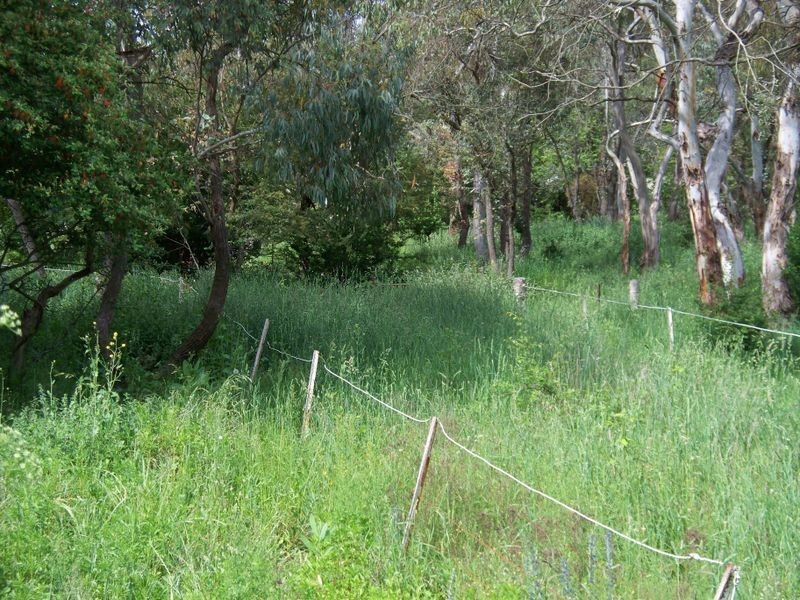 Lot 22 Creek Street, Portland NSW 2847