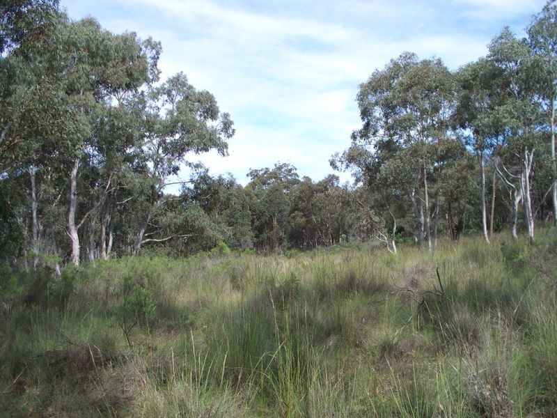 4584 Castlereagh Highway, Capertee NSW 2846