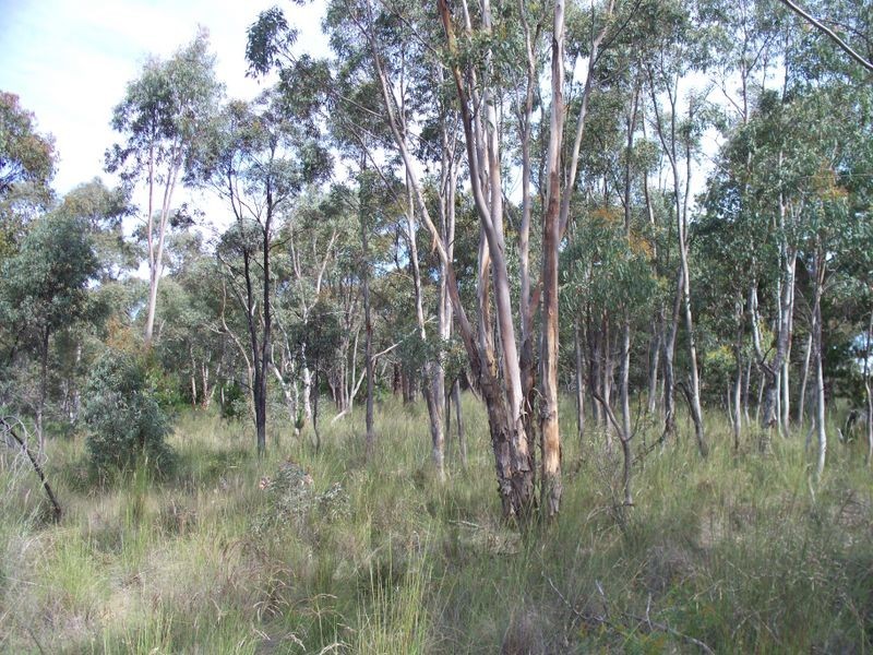 4584 Castlereagh Highway, Capertee NSW 2846