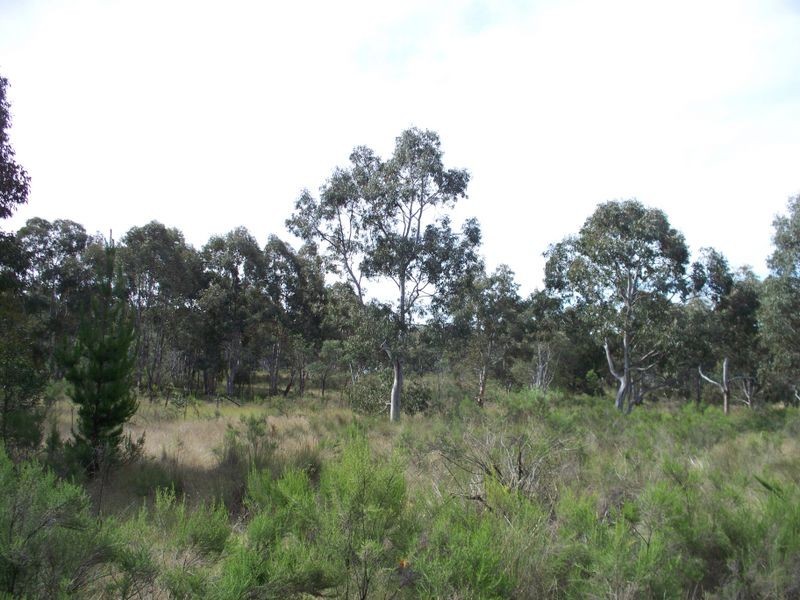 4584 Castlereagh Highway, Capertee NSW 2846