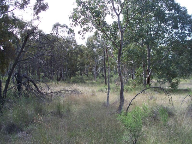 4584 Castlereagh Highway, Capertee NSW 2846