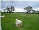 795 Range Road, Pipers Flat NSW 2847