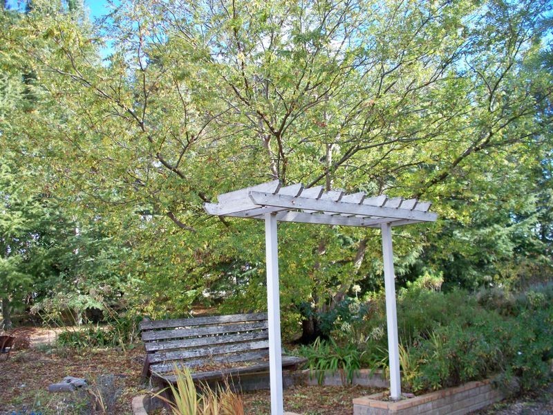 795 Range Road, Pipers Flat NSW 2847