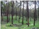 172 Blackheath Creek Road, Little Hartley NSW 2790