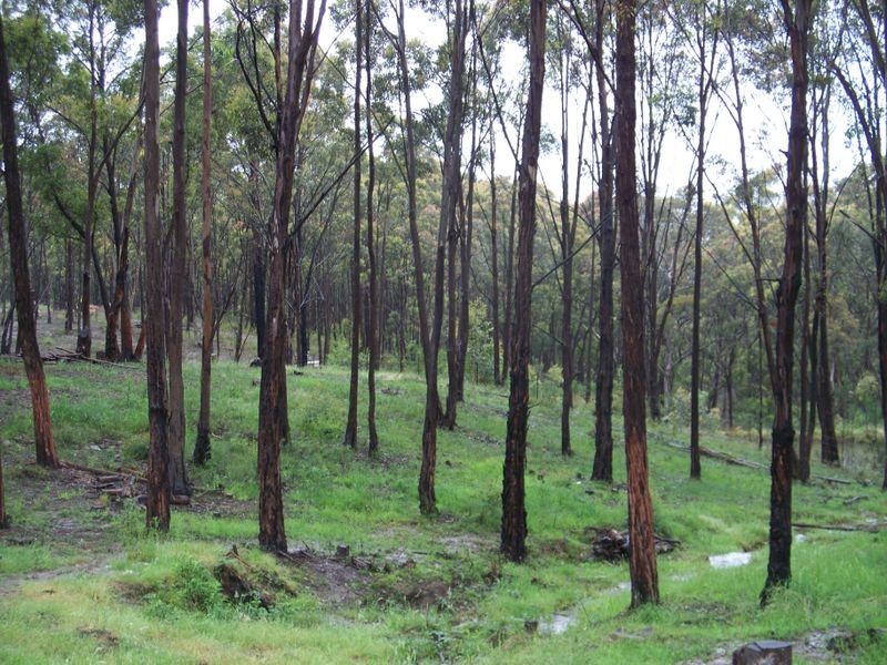 172 Blackheath Creek Road, Little Hartley NSW 2790