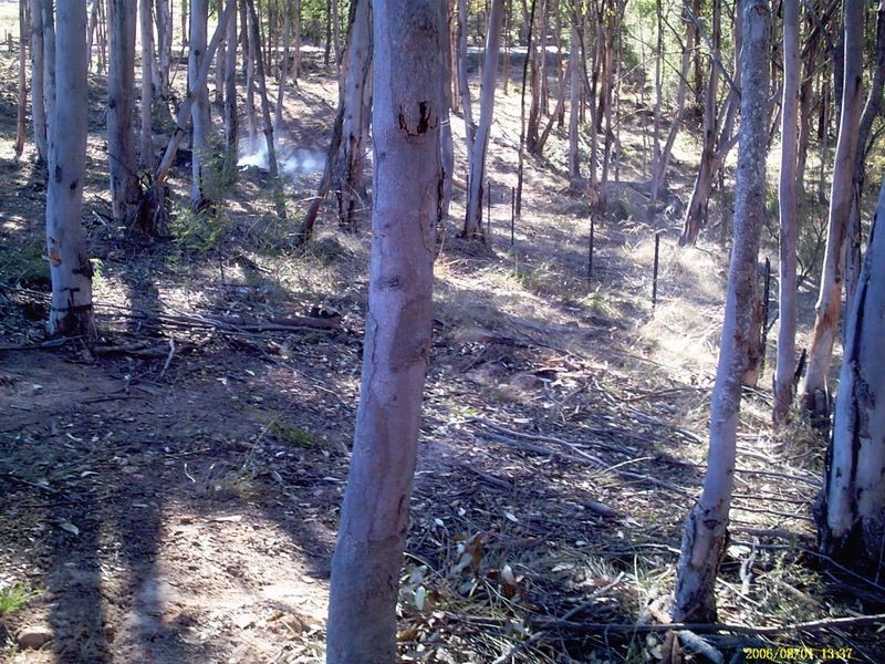 172 Blackheath Creek Road, Little Hartley NSW 2790