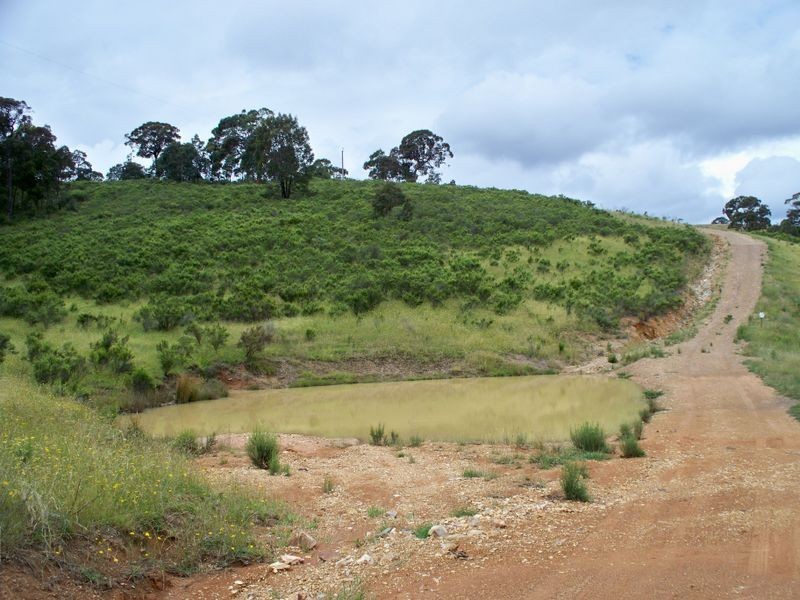 1248 Dark Corner Road, Dark Corner NSW 2795