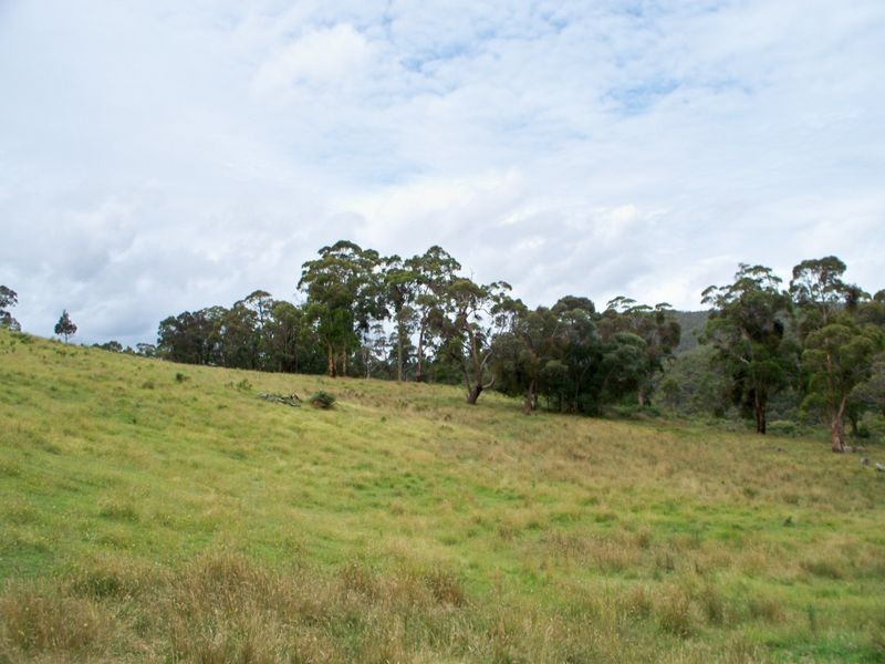 1248 Dark Corner Road, Dark Corner NSW 2795