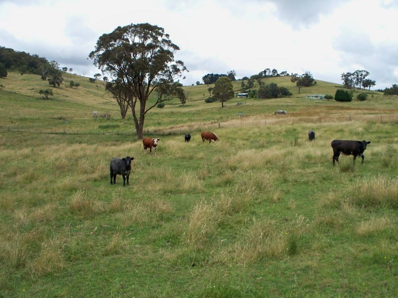 1248 Dark Corner Road, Dark Corner NSW 2795