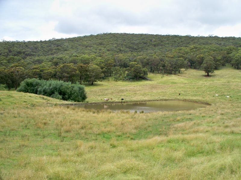 1248 Dark Corner Road, Dark Corner NSW 2795