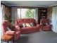 431 Back Cullen Road, Portland NSW 2847