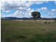 431 Back Cullen Road, Portland NSW 2847