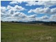 431 Back Cullen Road, Portland NSW 2847