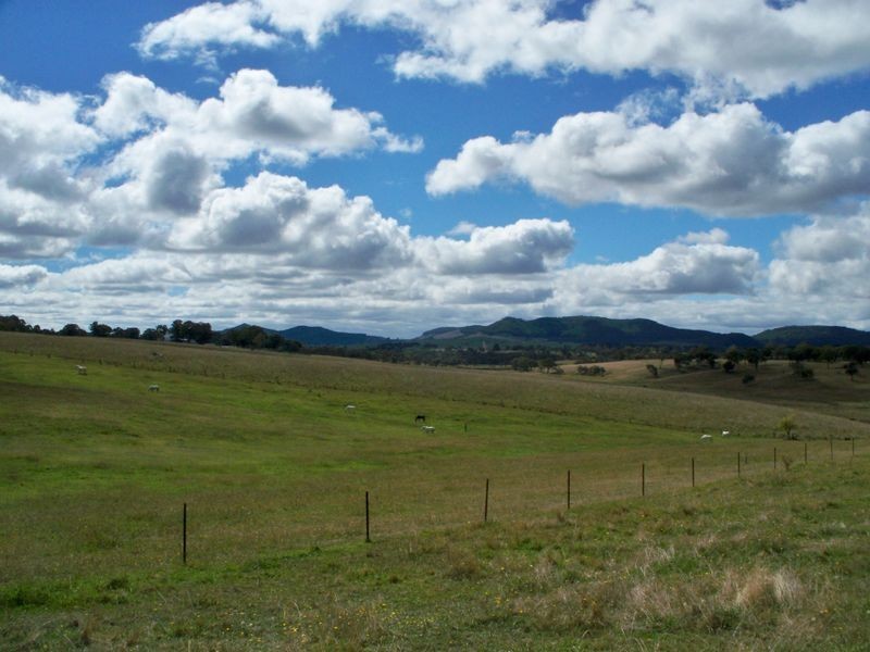 431 Back Cullen Road, Portland NSW 2847