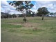 431 Back Cullen Road, Portland NSW 2847
