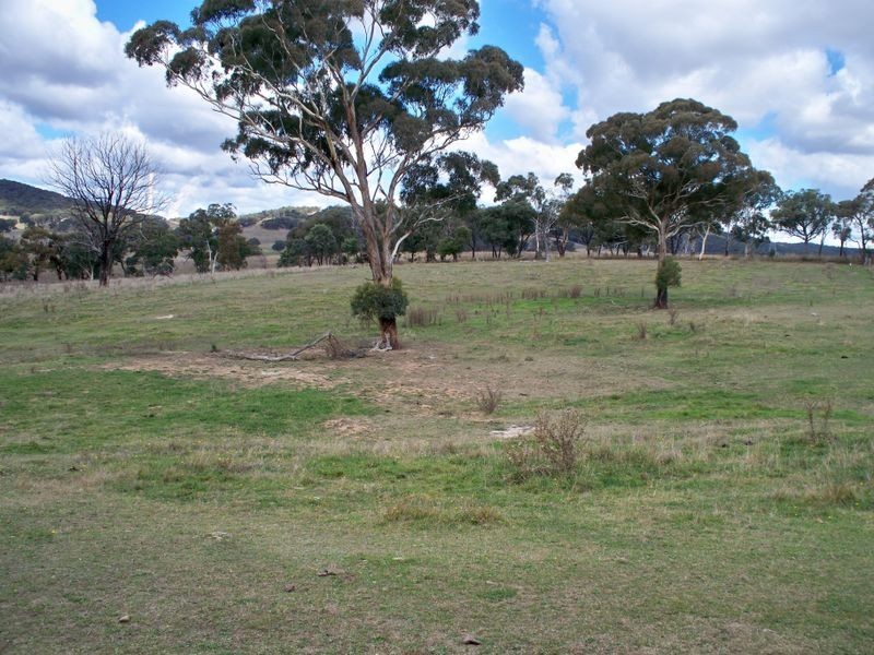 431 Back Cullen Road, Portland NSW 2847