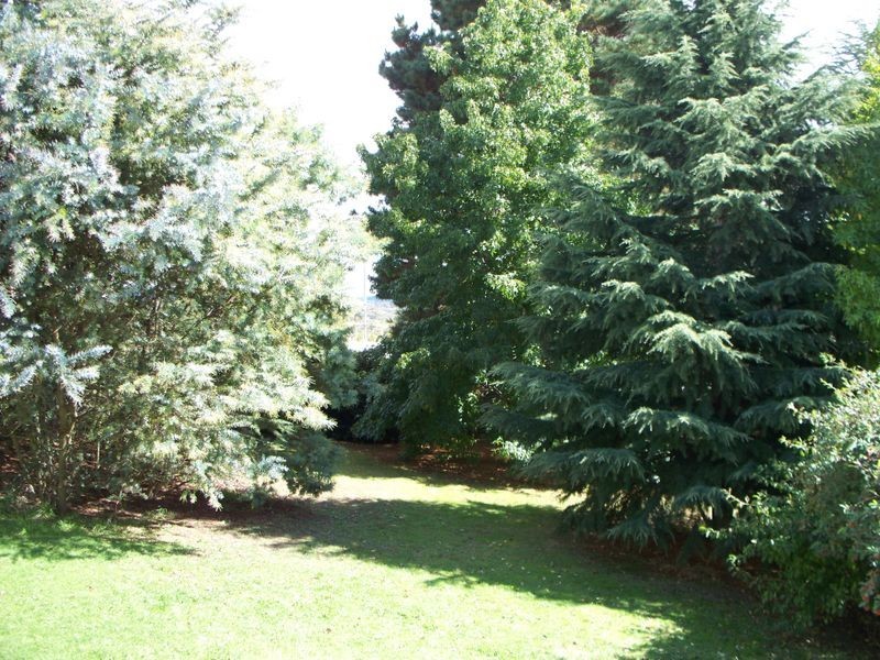 44 James Parade, Wallerawang NSW 2845