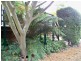 9 Korra Street, Marrangaroo NSW 2790