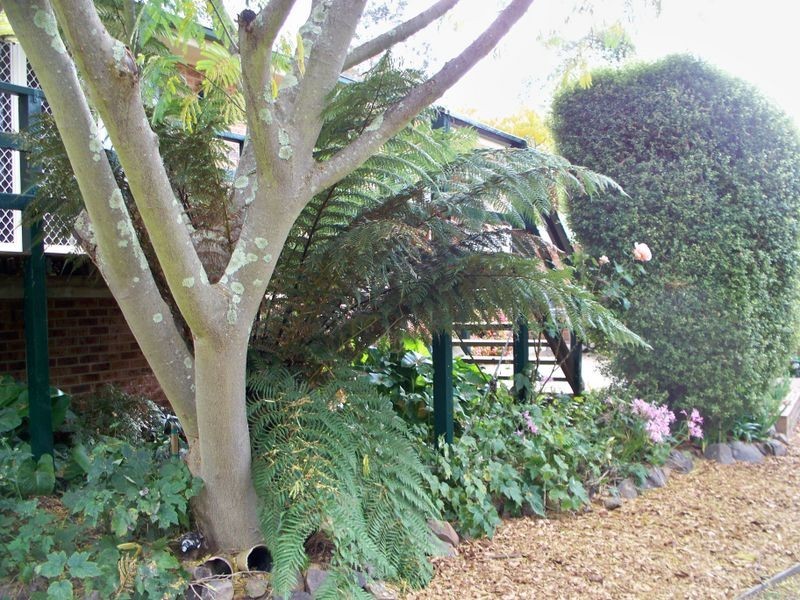 9 Korra Street, Marrangaroo NSW 2790