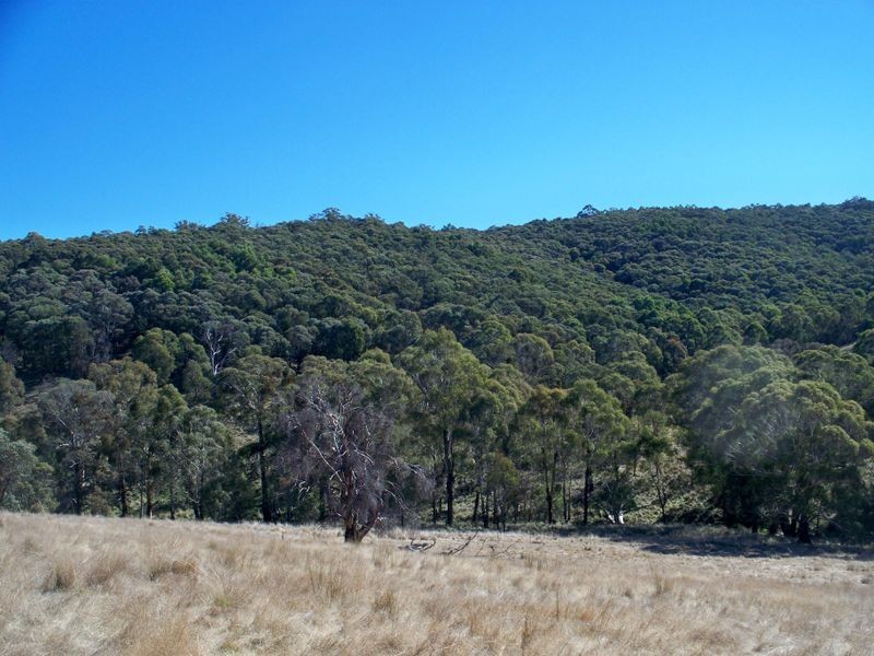 Lot 22 Coolamigal Road, Portland NSW 2847