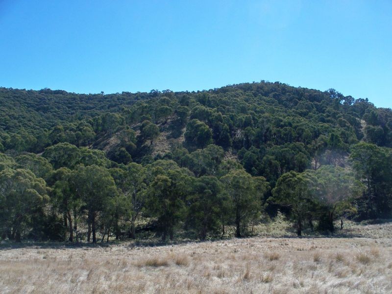 Lot 22 Coolamigal Road, Portland NSW 2847