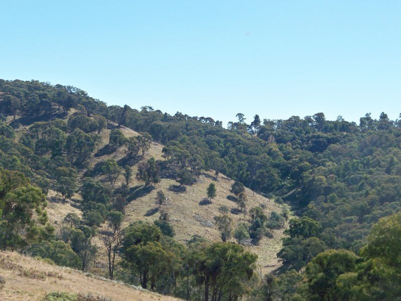 Lot 22 Coolamigal Road, Portland NSW 2847