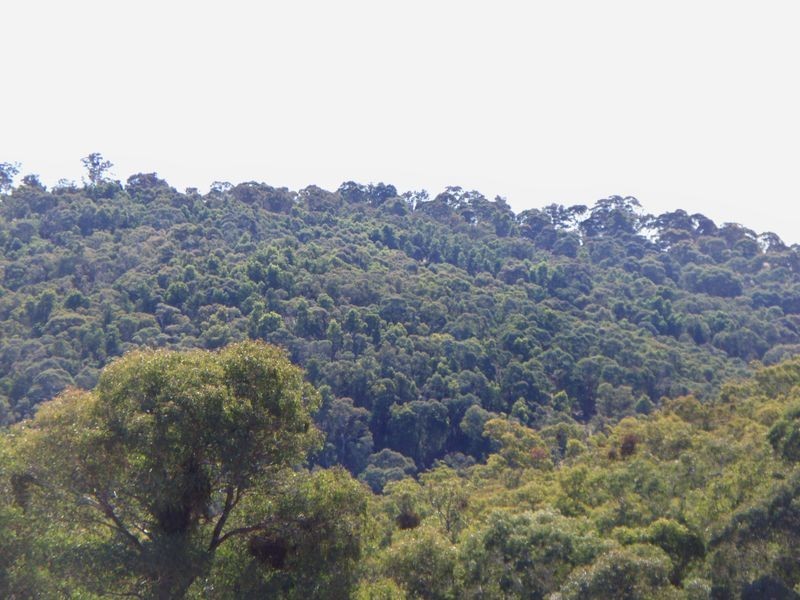 Lot 22 Coolamigal Road, Portland NSW 2847