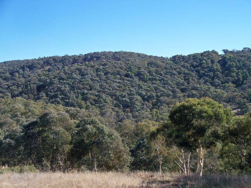 Lot 22 Coolamigal Road, Portland NSW 2847