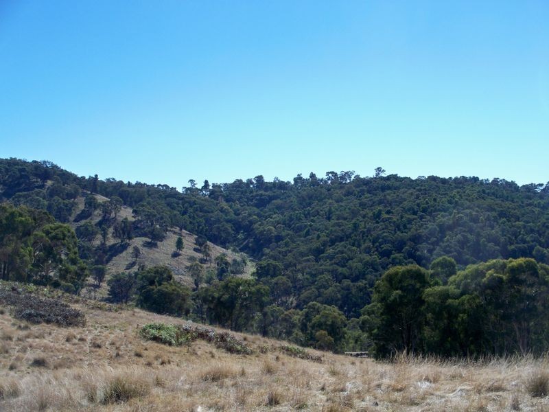 Lot 22 Coolamigal Road, Portland NSW 2847