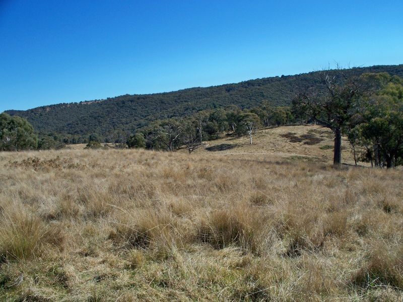 Lot 23 Coolamigal Road, Portland NSW 2847