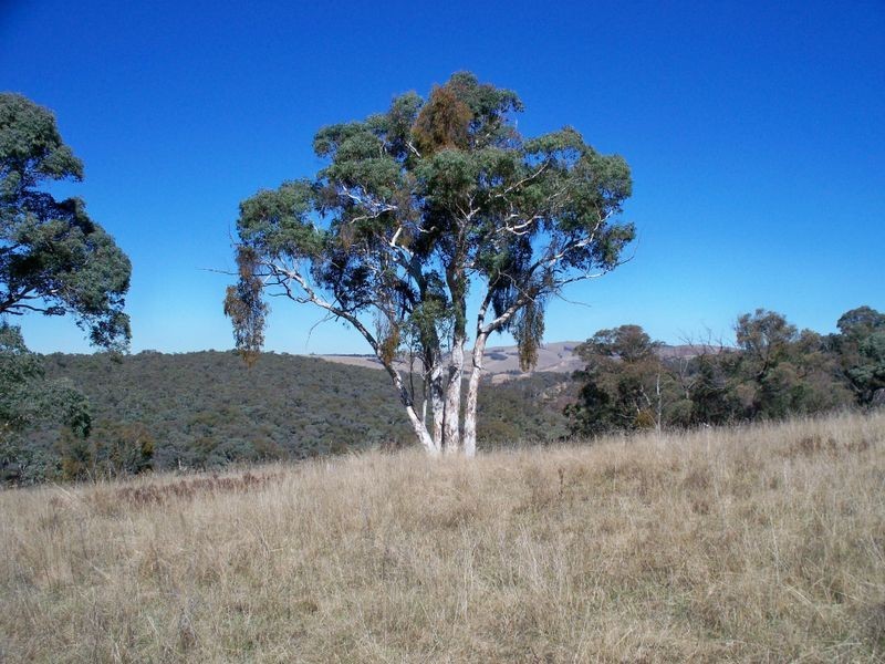 Lot 23 Coolamigal Road, Portland NSW 2847