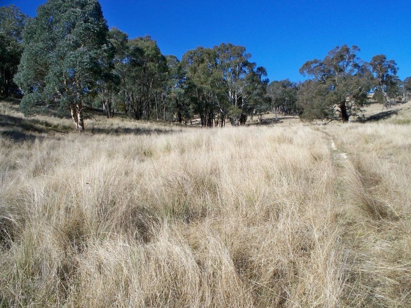 Lot 23 Coolamigal Road, Portland NSW 2847