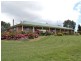 491 Back Cullen Road, Portland NSW 2847