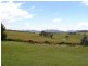 491 Back Cullen Road, Portland NSW 2847