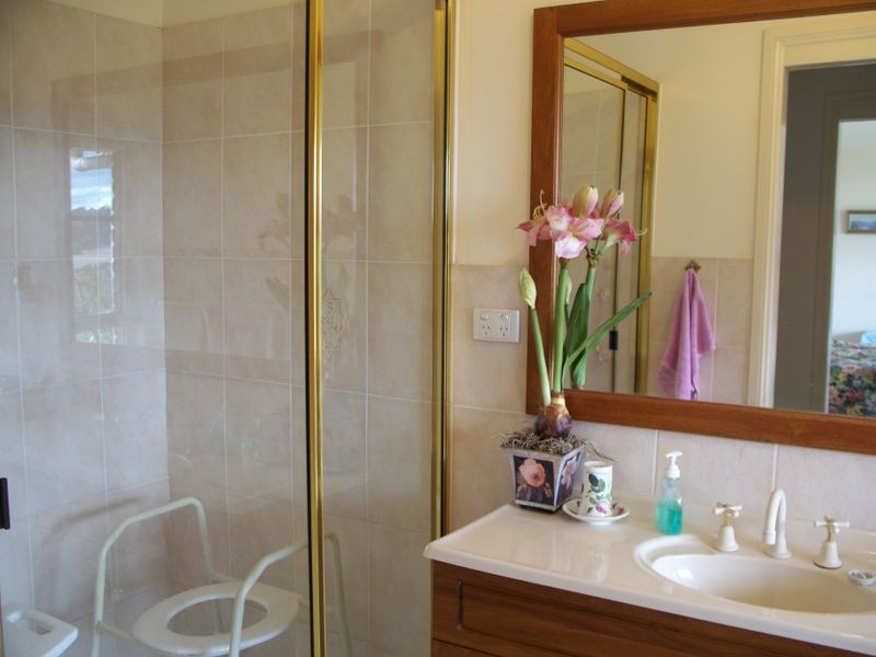 491 Back Cullen Road, Portland NSW 2847
