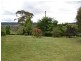 491 Back Cullen Road, Portland NSW 2847