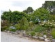 491 Back Cullen Road, Portland NSW 2847