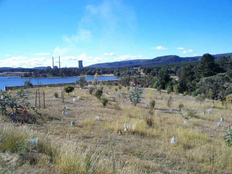 Lot 102 Rocky Water Hole Drive, Wallerawang NSW 2845