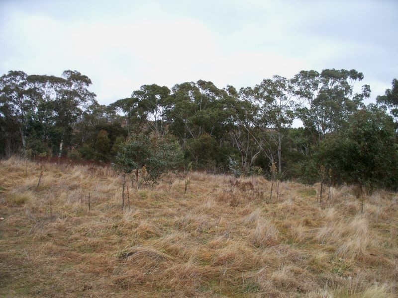 Lot 623 Hillcrest Avenue, Bowenfels NSW 2790
