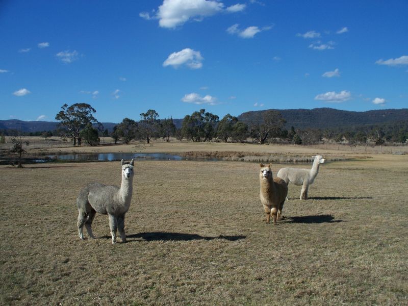 30 Granger Place, Little Hartley NSW 2790