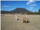 30 Granger Place, Little Hartley NSW 2790