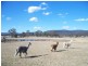 30 Granger Place, Little Hartley NSW 2790