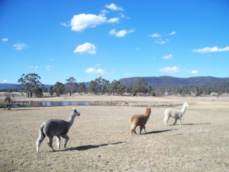 30 Granger Place, Little Hartley NSW 2790